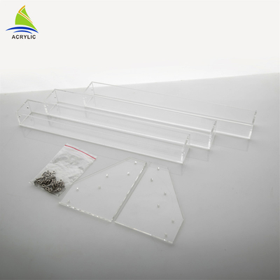 Thương mại rõ ràng độ dày bậc thang hình dạng sơn móng tay hiển thị đứng oem dịch vụ