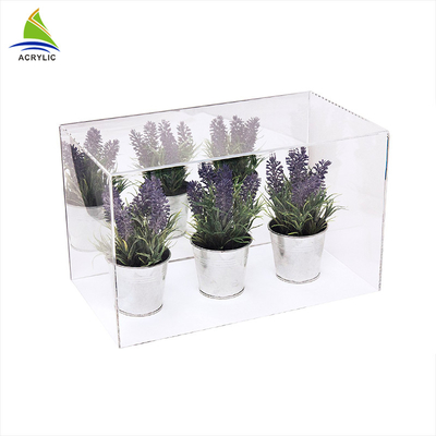 Rõ ràng Acrylic Hiển thị trường hợp thiết kế Customized Acrylic chậu cây Display Với Khay