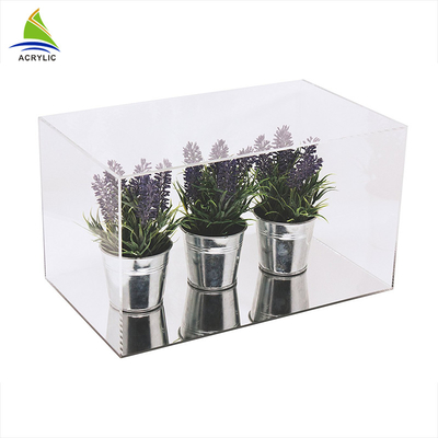 Rõ ràng Acrylic Hiển thị trường hợp thiết kế Customized Acrylic chậu cây Display Với Khay