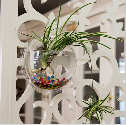 Hiển thị cửa hàng Acrylic hiện đại Customized Wall Mounted Rõ ràng Vòng Acrylic Fish Tank