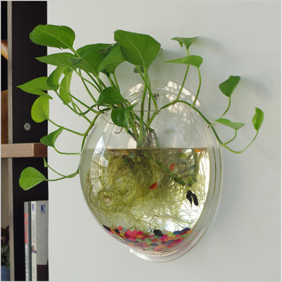 Hiển thị cửa hàng Acrylic hiện đại Customized Wall Mounted Rõ ràng Vòng Acrylic Fish Tank