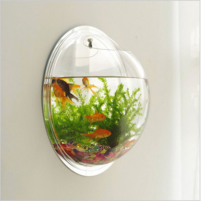 Hiển thị cửa hàng Acrylic hiện đại Customized Wall Mounted Rõ ràng Vòng Acrylic Fish Tank